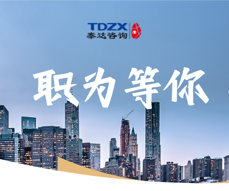 低空經濟咨詢項目負責人